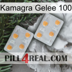 Kamagra Jelly 100 25